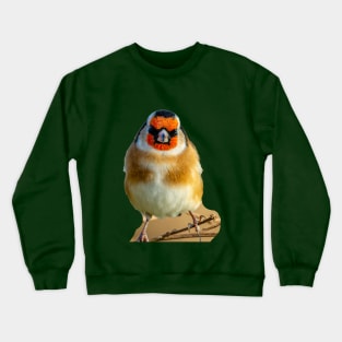 Goldfinch on teasels Crewneck Sweatshirt